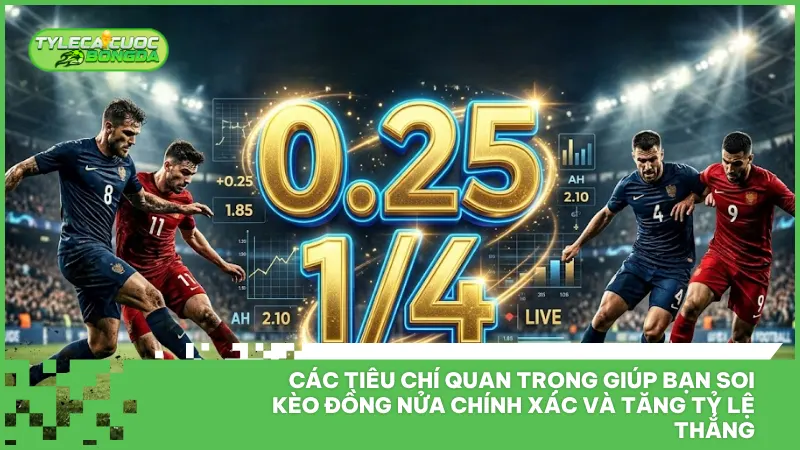 Lịch sử đối đầu là căn cứ quan trọng giúp chốt kèo đồng nửa an toàn