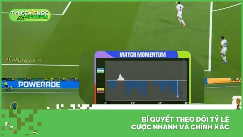 Bí quyết theo dõi tỷ lệ cược nhanh và chính xác