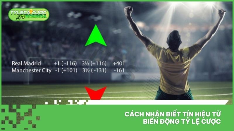 Tỷ Lệ Cá Cược Bóng Đá Laliga - Tỷ Lệ Nhà Cái Giải La Liga Mới Nhất 3 Cách nhận biết tín hiệu từ biến động tỷ lệ cược