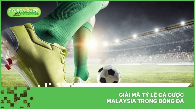 Tỷ Lệ Cá Cược Malaysia - Cập Nhật Tỷ Lệ Kèo Bóng Đá Nhanh 24/7 1 Giải mã tỷ lệ cá cược Malaysia trong bóng đá