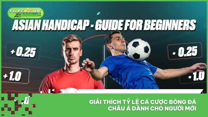Tỷ Lệ Cá Cược Bóng Đá Châu Á - Giải Đáp Từ A-Z Cho Newbie 1 Giải thích tỷ lệ cá cược bóng đá châu Á dành cho người mới