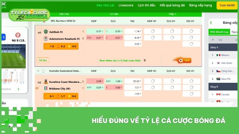 Hiểu đúng về tỷ lệ cá cược bóng đá