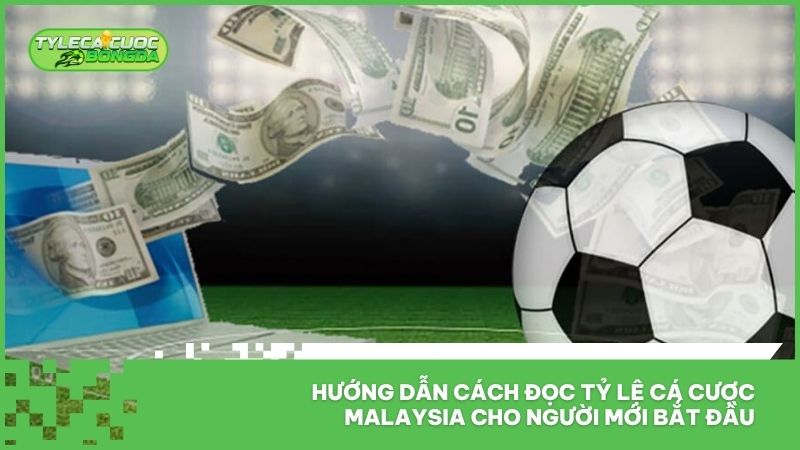 Tỷ Lệ Cá Cược Malaysia - Cập Nhật Tỷ Lệ Kèo Bóng Đá Nhanh 24/7 2 Hướng dẫn cách đọc tỷ lệ cá cược Malaysia cho người mới bắt đầu