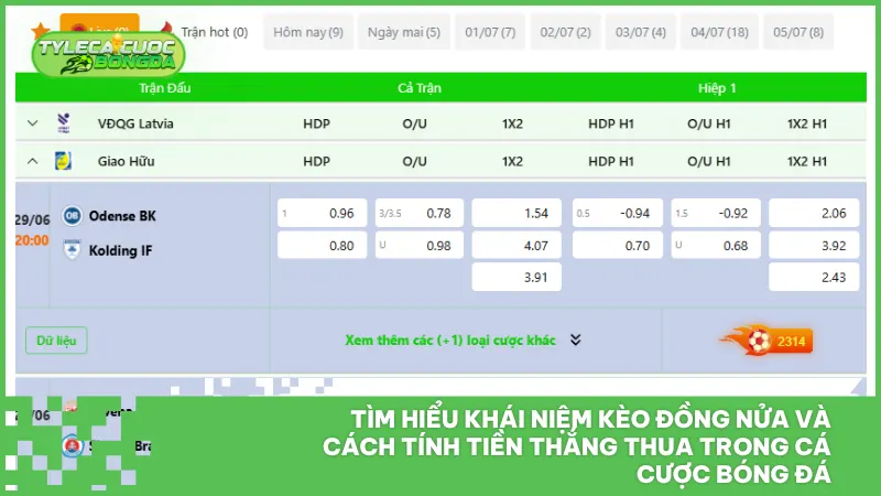 Kèo đồng nửa là tỷ lệ đội cửa trên chấp cửa dưới 0.25 trái bóng