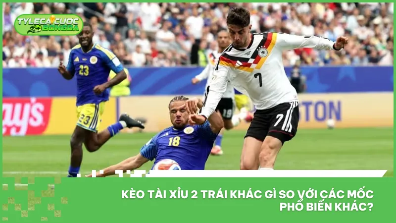Kèo Tài Xỉu 2 Trái Có Dễ Ăn Không? Hướng Dẫn Chi Tiết Cho Người Mới 2 So với các mốc 1.75, 2.25 hay 2.5, kèo 2 trái được nhiều người mới đánh giá là dễ tiếp cận hơn