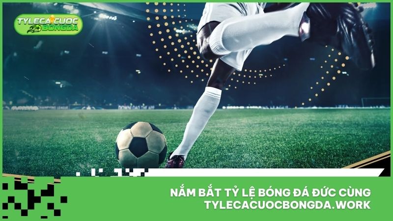 Nắm bắt tỷ lệ bóng đá Đức cùng tylecacuocbongda.work