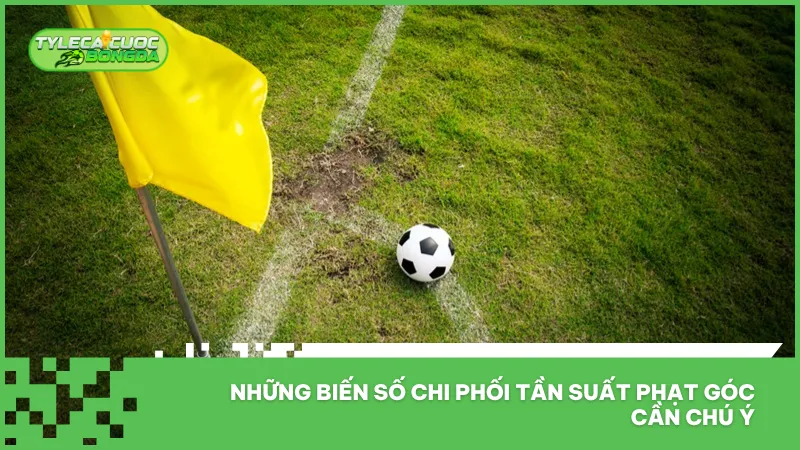 Càng đánh giá kỹ các yếu tố ảnh hưởng, khả năng đưa ra nhận định kèo phạt góc càng đáng tin cậy