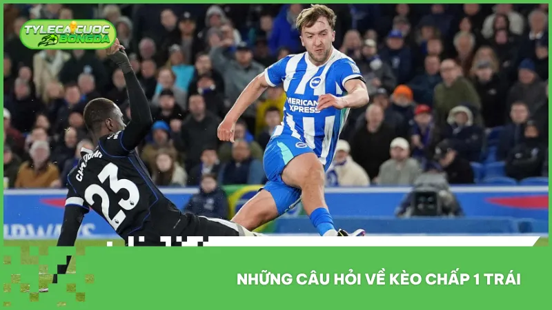 Giải đáp các thắc mắc phổ biến về cách tính và biến động của kèo chấp 1 trái