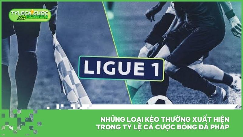 Những loại kèo thường xuất hiện trong tỷ lệ cá cược bóng đá Pháp