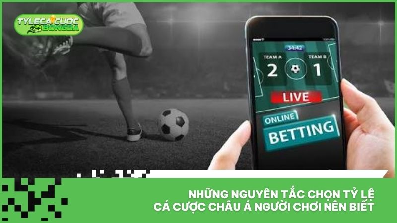 Tỷ Lệ Cá Cược Bóng Đá Châu Á - Giải Đáp Từ A-Z Cho Newbie 3 Những nguyên tắc chọn tỷ lệ cá cược châu Á người chơi nên biết