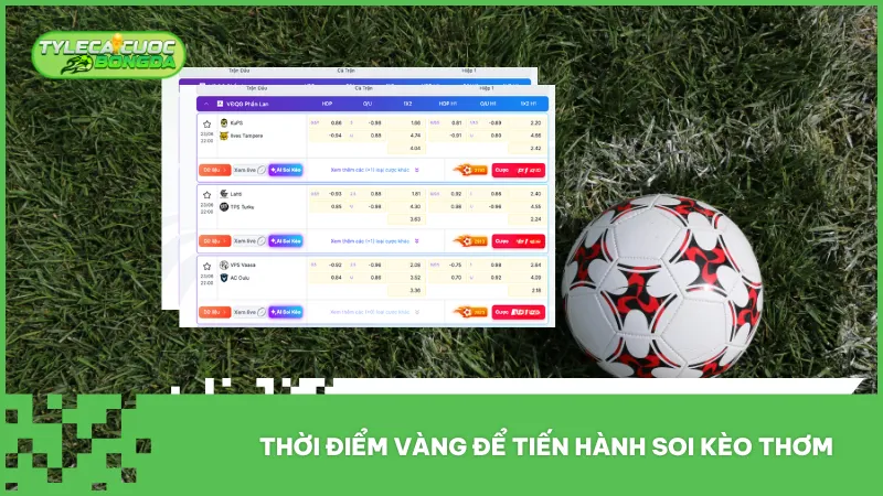 Thời điểm quan sát là bước quan trọng sau khi đã hiểu rõ kèo thơm là gì