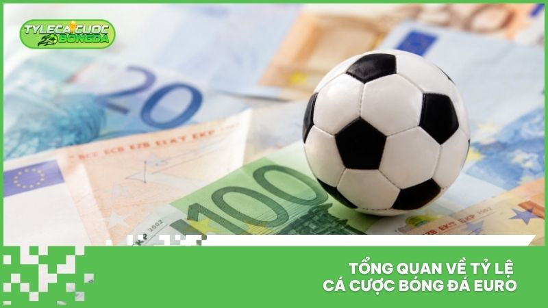 Tổng quan về tỷ lệ cá cược bóng đá Euro
