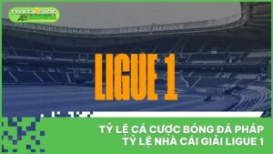 Tỷ Lệ Cá Cược Bóng Đá Pháp